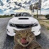 啥