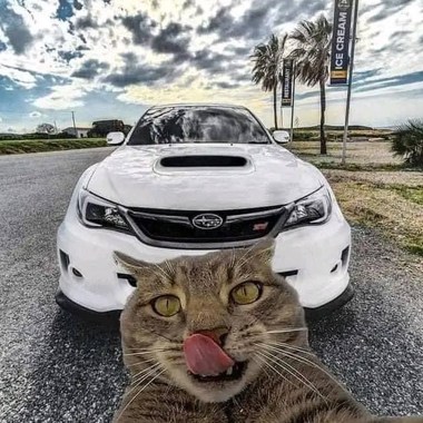 啥