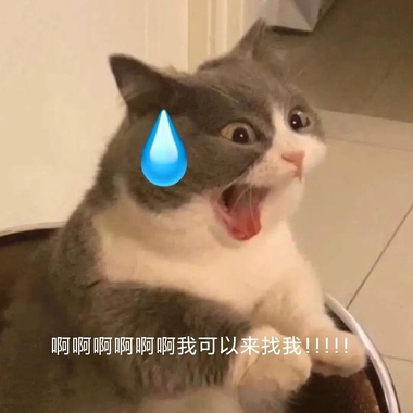 夏日回想