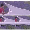 冰多多纯音乐