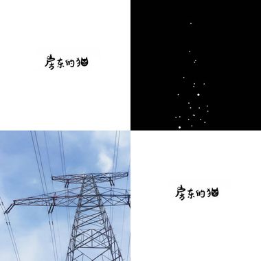 我的猫