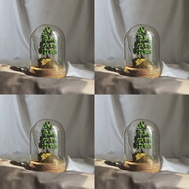 活著