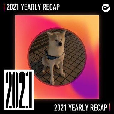 2021 个人年度精选之最