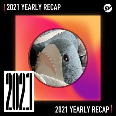 2021 个人年度精选之最