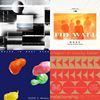 体熊专科