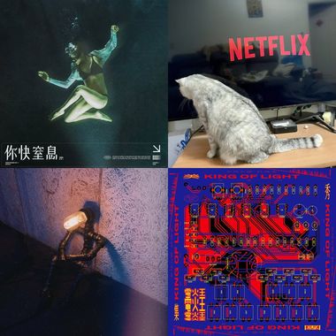 蚝耗听