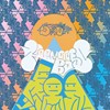 贺尔蒙少年