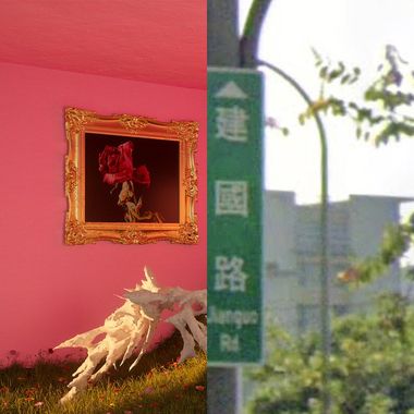 晕的咪咪猫猫