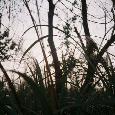 我执