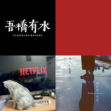 我的歌单 1