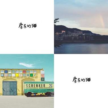 房东的猫