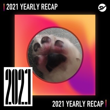2021 个人年度精选之最