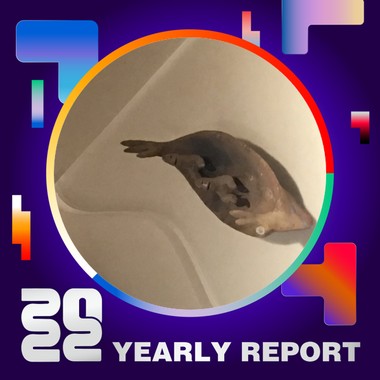 2022 个人年度精选