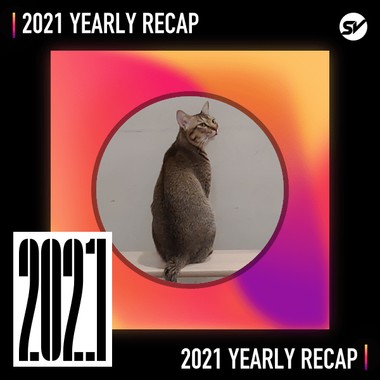 2021 个人年度精选之最