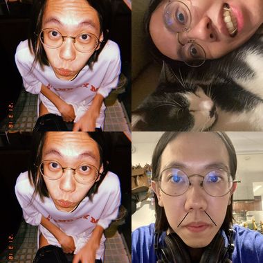 鲍伯