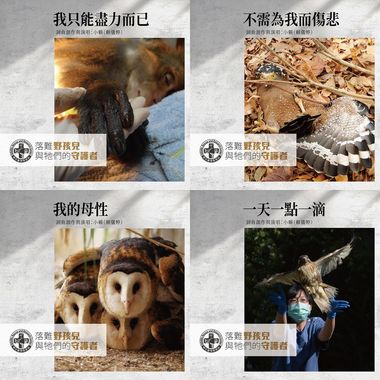 野生动物急救站