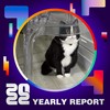 2022 个人年度精选