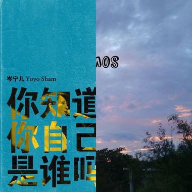 该报