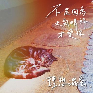 理想混蛋Bestards