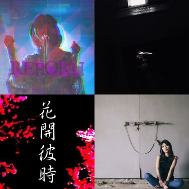 我的歌单 1