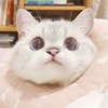 自由
