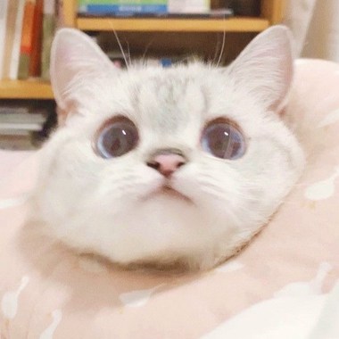 自由