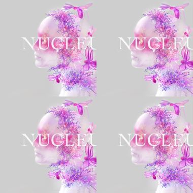 《核 Nucleus》
