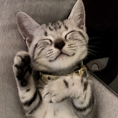 睡给你看