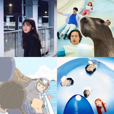 奶油贝狗咬
