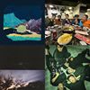 守夜推荐