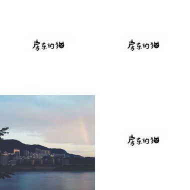 房东的猫