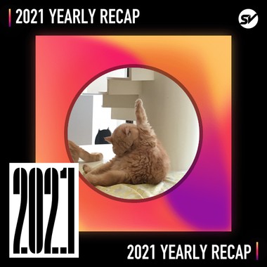 2021 个人年度精选之最