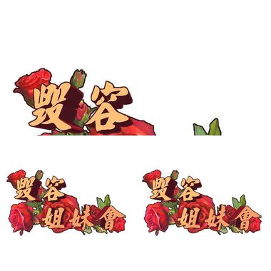 毁容姐妹会