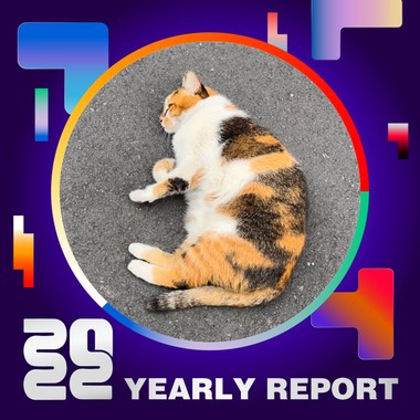 2022 个人年度精选