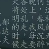 雨