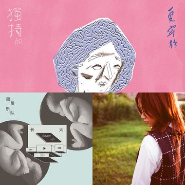 慵懒的午后，一只猫，一本书，一盏清茶，足已。