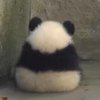 “我想重新认识你，以更好的方式”