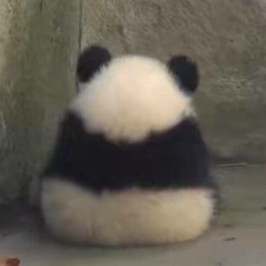 “我想重新认识你，以更好的方式”