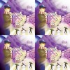 风迷藏Wind Evasion