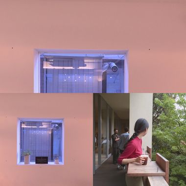 安妮