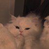 下班