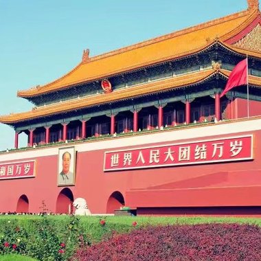 不摇就滚