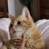 静静的