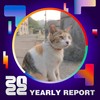 2022 个人年度精选
