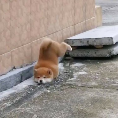 ㄏ听