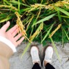 曾经回忆