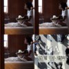 PIA清耀悠扬