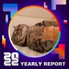 2022 个人年度精选