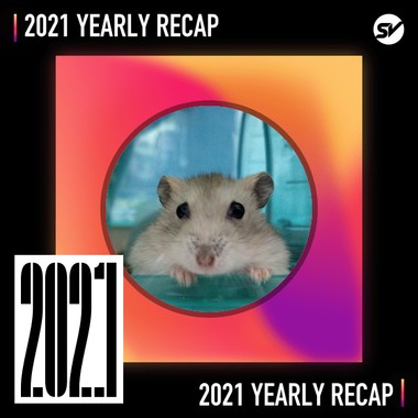 2021 个人年度精选之最