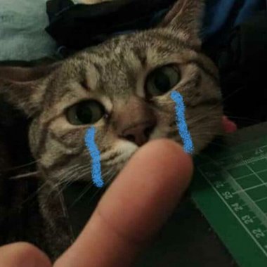 衣某